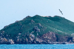 2023-03-29_11-02-03-5