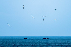 2023-03-29_11-09-16-8