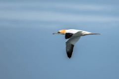 2023-03-29_11-16-34-9