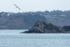 2023-03-29_12-00-20-10