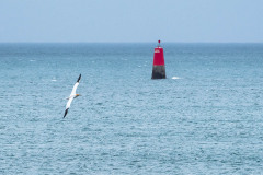 2023-03-29_14-16-19-12