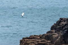 2023-03-29_14-16-28-13