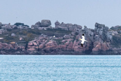 2023-03-29_14-39-38-14