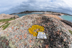 2023-03-30_16-07-22-1