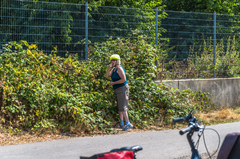 2018_07_22-11_33_19_5