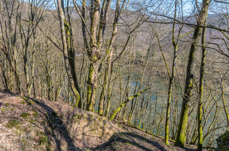 2020_03_26-12_05_05_4