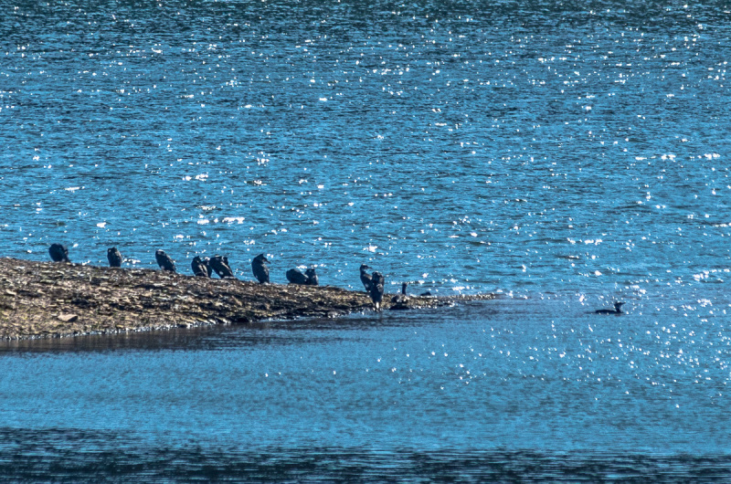 2020_03_26-13_24_46_18