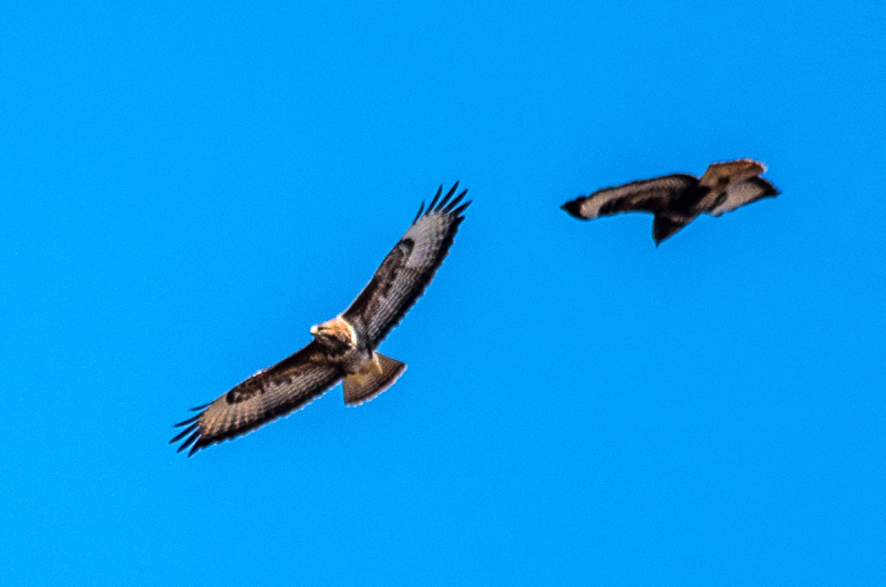 2020_03_26-14_04_05_33