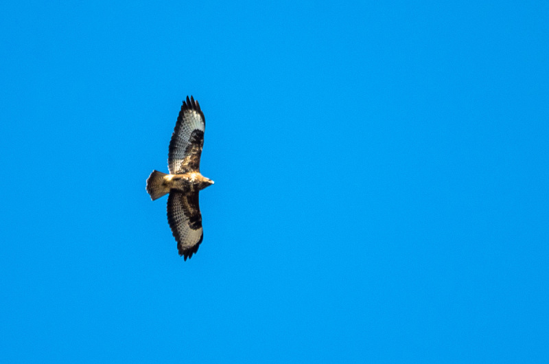 2020_03_26-14_04_12_34