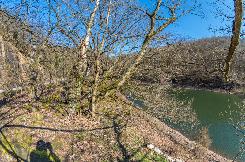 2020_03_26-15_06_36_45