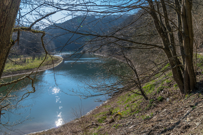 2020_03_26-15_13_48_46