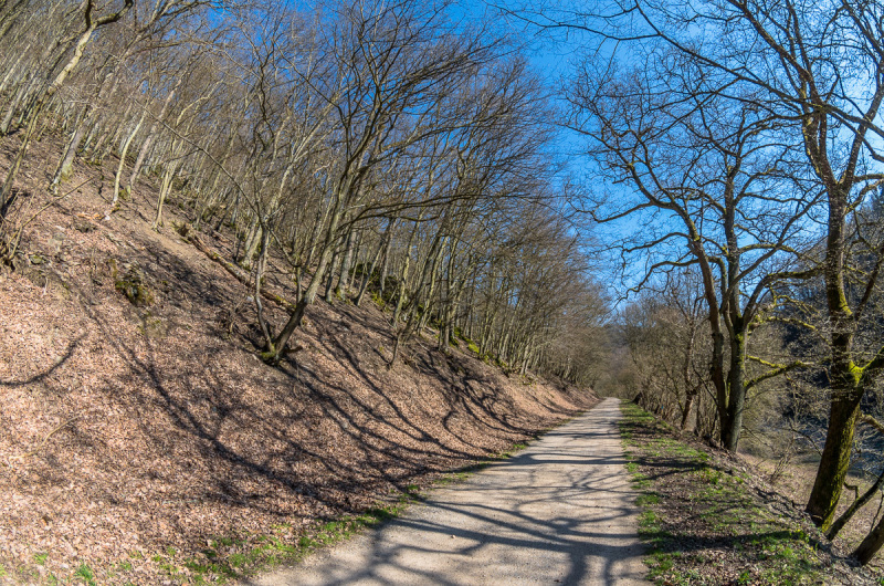 2020_03_26-15_15_39_47