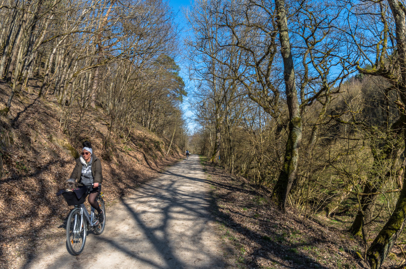 2020_03_26-15_43_20_51