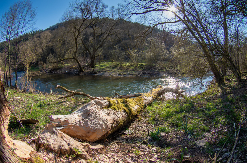 2020_03_26-15_50_05_52