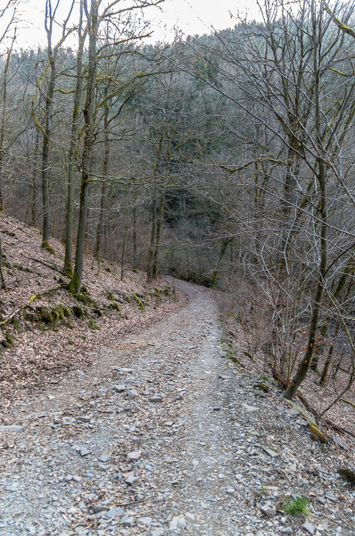 2020_03_26-17_09_55_59