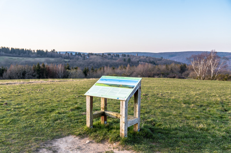 2020_03_26-17_58_54_65