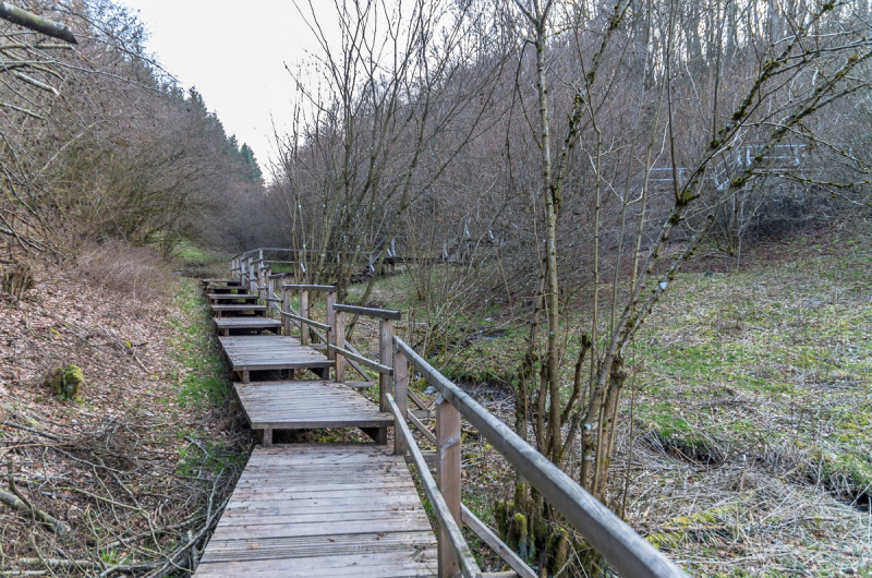 2020_03_26-18_17_29_68