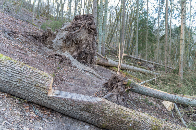 2020_03_26-18_23_38_72