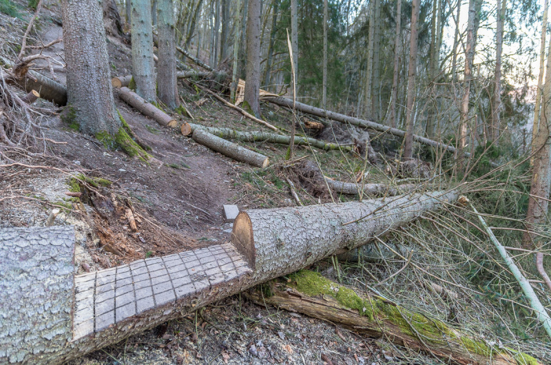 2020_03_26-18_24_09_73