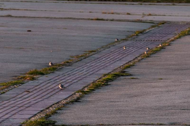 2020_03_26-18_43_10_75