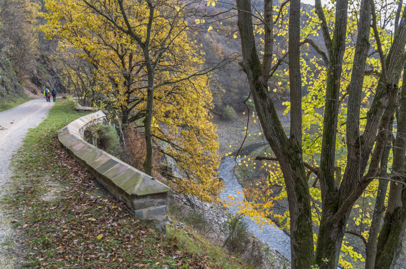 2020_11_15-13_10_06_1