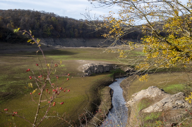 2020_11_15-13_21_44_5