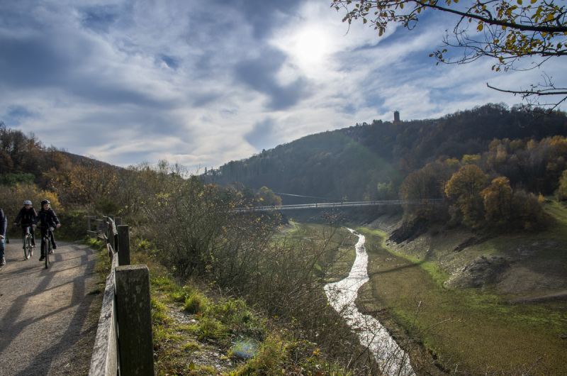 2020_11_15-13_22_38_6