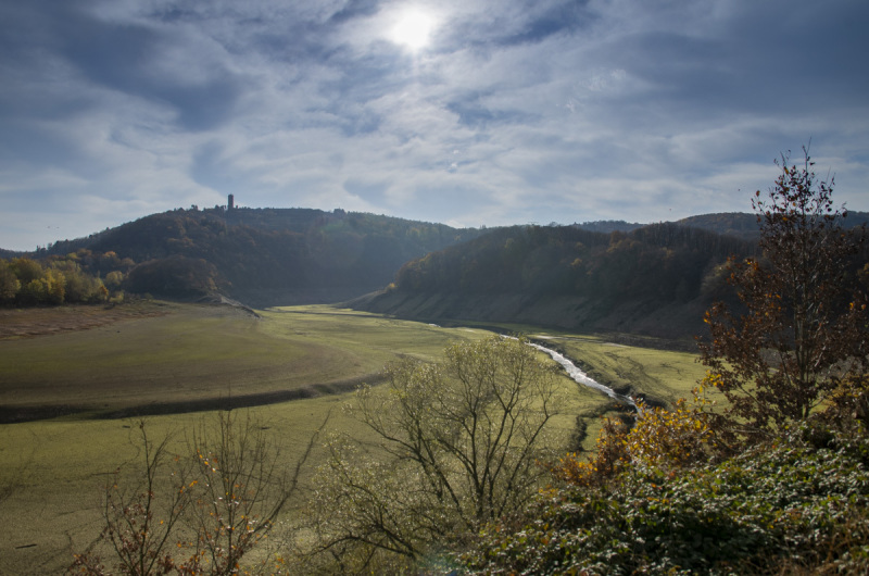 2020_11_15-13_28_24_7