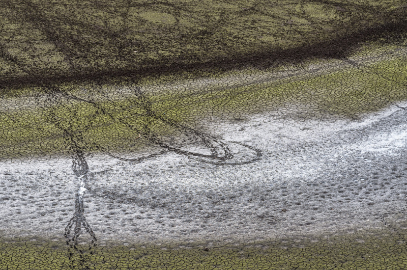 2020_11_15-13_38_18_12