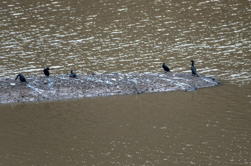 2020_11_15-14_25_52_23