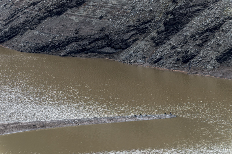 2020_11_15-14_26_15_24