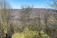 2020_03_26-11_56_38_3