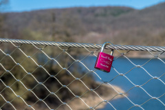 2020_03_26-12_17_52_7