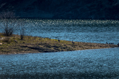 2020_03_26-12_52_04_9