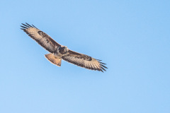 2020_03_26-13_12_13_13