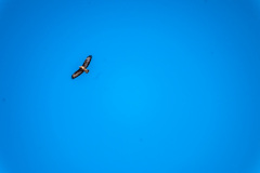 2020_03_26-14_03_55_32