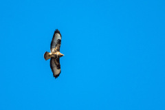 2020_03_26-14_04_12_34