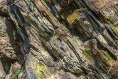 2020_03_26-14_41_43_41