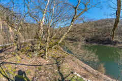 2020_03_26-15_06_36_45