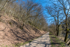 2020_03_26-15_15_39_47