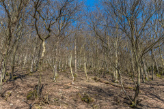 2020_03_26-15_16_15_48