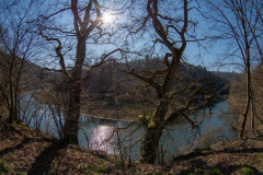 2020_03_26-15_21_08_49