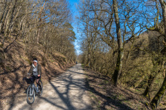 2020_03_26-15_43_20_51