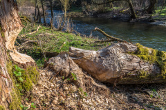 2020_03_26-15_53_07_54