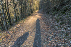 2020_03_26-17_03_31_58