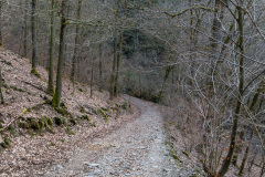 2020_03_26-17_09_55_59