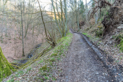 2020_03_26-17_13_32_60