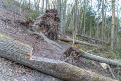 2020_03_26-18_23_38_72