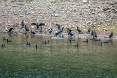 2020_06_11-13_37_14_7