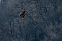 2020_03_26-14_00_05_27